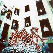 T.p. Allstars - List pictures