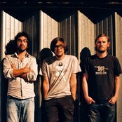 Beak> - List pictures