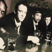 Dave Matthews Band - List pictures