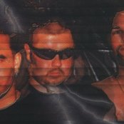 Carnal Forge - List pictures