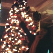 The Diving Bell - List pictures