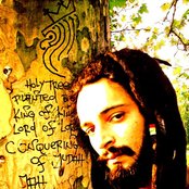 Hornsman Coyote - List pictures