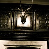 Steve Angello - List pictures