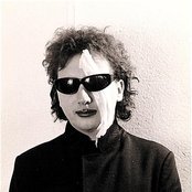 Gary Wilson - List pictures