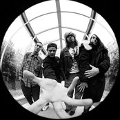 Red Hot Chili Peppers - List pictures