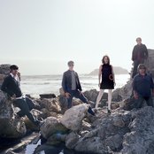 Loquat - List pictures