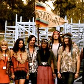 Tigertown - List pictures