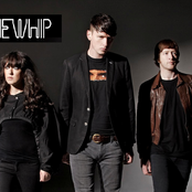 The Whip - List pictures