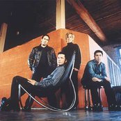 Oleander - List pictures