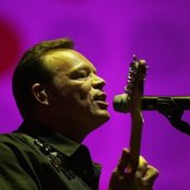 Ali Campbell - List pictures