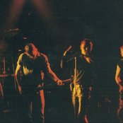 Sugarcubes - List pictures