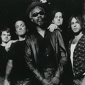 Robert Bradley's Blackwater Surprise - List pictures