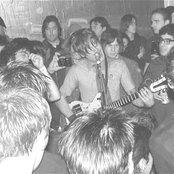 Coachwhips - List pictures