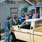 Spider Bags - List pictures