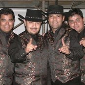 Los Palominos - List pictures