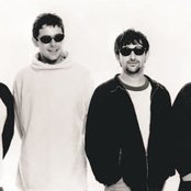Lightning Seeds - List pictures