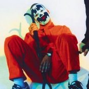 Shaggy 2 Dope - List pictures