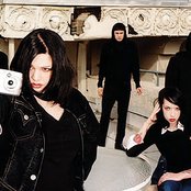 Scarling - List pictures