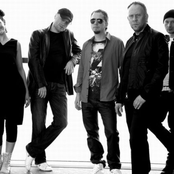 Varius Manx - List pictures