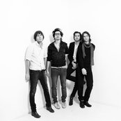 Phoenix - List pictures