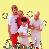 Little Dragon - List pictures