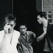 Executive Slacks - List pictures