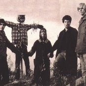 Sonic Youth - List pictures