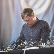 The Field - List pictures