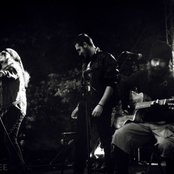 Sleazy Lizards - List pictures