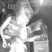 Pelican - List pictures