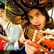 The April Maze - List pictures