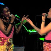 Serengeti - List pictures