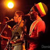 Easy Star All-stars - List pictures