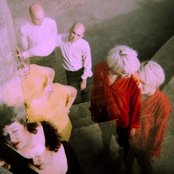 Cold Beat - List pictures