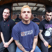 Stick To Your Guns - List pictures