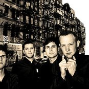 Fray - List pictures