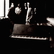 Tindersticks - List pictures