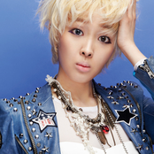 Fat Cat - List pictures