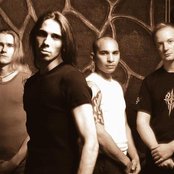 Old Dead Tree - List pictures