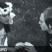 Lady & Bird - List pictures