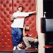 Beginner - List pictures