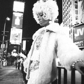 Pizzicato Five - List pictures