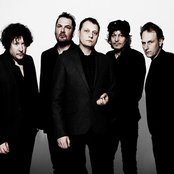 Weeping Willows - List pictures