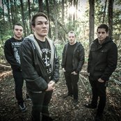 Feign - List pictures