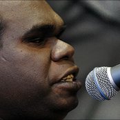 Geoffrey Gurrumul Yunupingu - List pictures