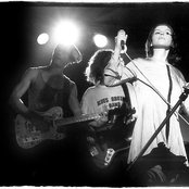 Bobo In White Wooden Houses - List pictures