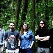 Amber - List pictures