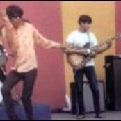 Question Mark & The Mysterians - List pictures