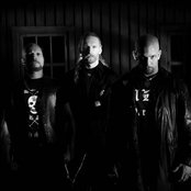 Dissection - List pictures