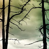 The Black Cloud Collective - List pictures